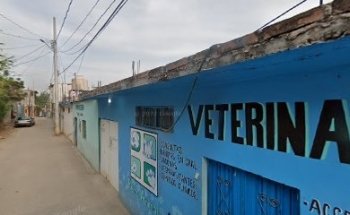 Veterinaria Reino Animal