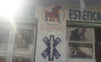 Servicios Veterinarios 