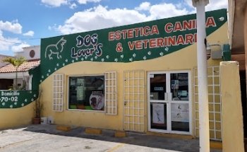 Estética Canina Dog Lovers