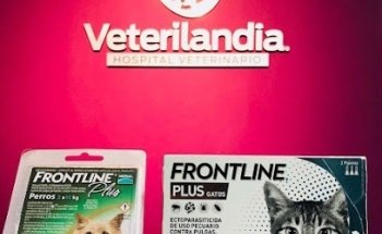 Veterilandia Hospital Veterinario