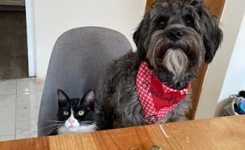 ALPHA VET ° ESTETIKCAN