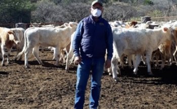 Clínica y Farmacia Veterinaria Delgadillo