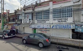 CANINE VETERINARY ESTETICA