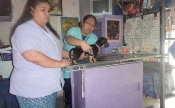 Veterinaria Amascotas