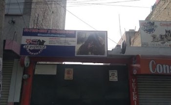 Consultorio Veterinario Barberia Bigotes