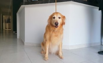 Footprints Veterinary Clinic