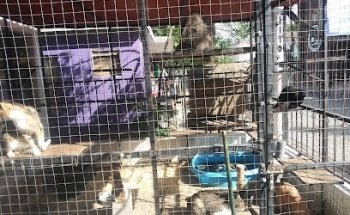 Mundo Animal Reynosa