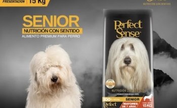 CENTRO MEDICO VETERINARIO 