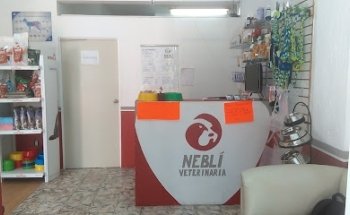 NEBLI Veterinaria