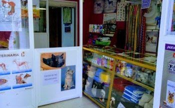 Veterinary Clinic Salamandra