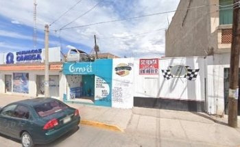 Amvet Consultorio Veterinario