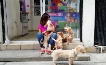 Pets Park Veterinaria