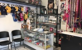 Veterinary Santa Rosa