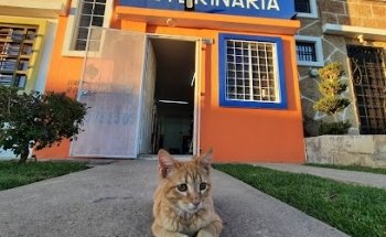 Real pets valle de los molinos