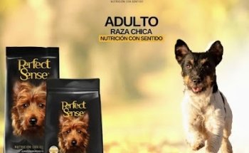 Veterinaria Guiza Guivet