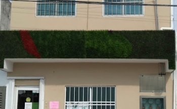 veterinaria medica zoo