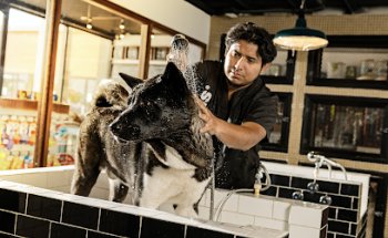 Veterinaria Humanimals Canek