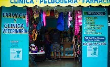 Clínica Veterinaria Donny Dog