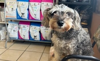 Clínica Veterinaria El Granjero