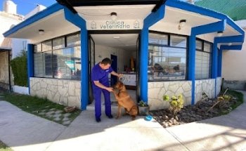 Clínica Veterinaria SANLO