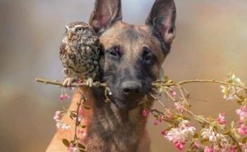 Farmacia y Clínica Veterinaria La Garrapata