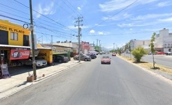 VETERINARIA Diamond PET FOODS