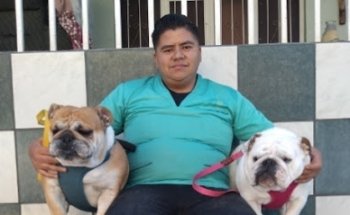 Veterinaria y estética AR-KA