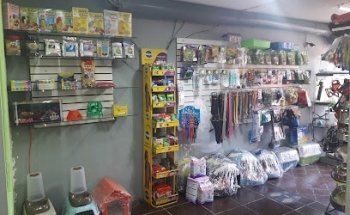 Veterinaria Animalitos