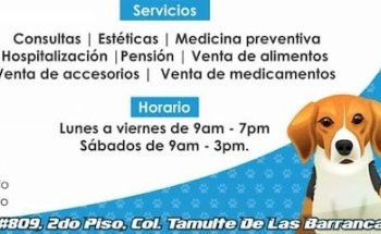 Clínica Veterinaria Galindo