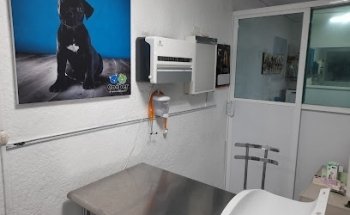 Clinica Veterinaria Diagvet Cooper