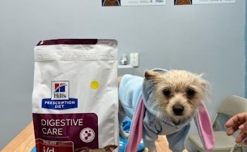 Clínica veterinaria ReforVet