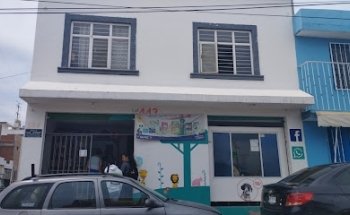 Veterinaria Natural Vet