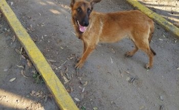 Veterinaria y Granero 