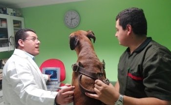 Hospital Veterinario Hera