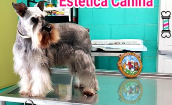 Veterinaria Happy Pet's