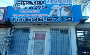VETERINARY THE GLORY