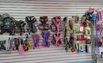 Estética Canina Puppy