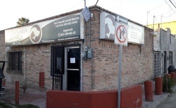 Clinica Veterinaria Lomeli