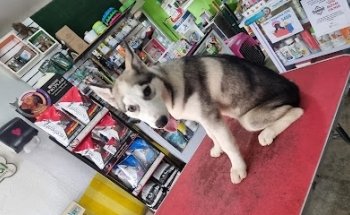 Animal Health RB House