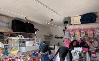 Mascocentro Hospital Veterinario