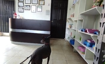 Servicios Médico Veterinarios Súper Tiernos