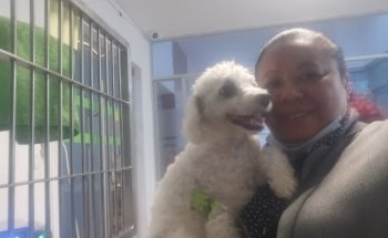 Hospital Veterinario AMI