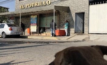 El Potrillo