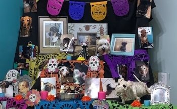 VETERINARY CENTER VALLES