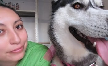 Veterinaria Nottingham Pet