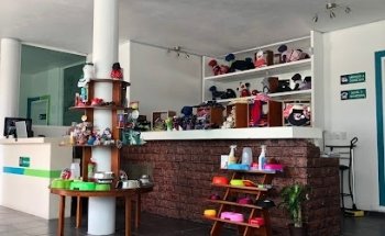 NAVET Veterinaria Integral