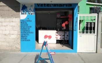 Veterinaria Vet Vel