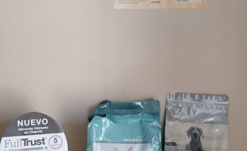 Consultorio Veterinario DAED