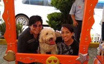 Estetica canina Nice Pet