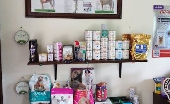 Servicios veterinarios San francisco